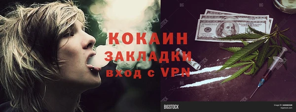 индика Каменногорск