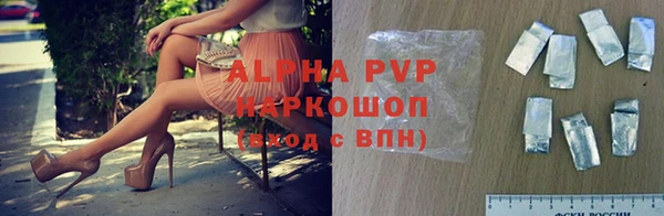 индика Каменногорск