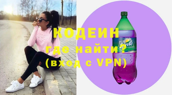 индика Каменногорск