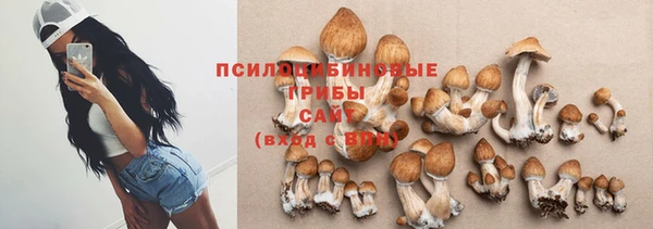 молекула духа Каменск-Шахтинский
