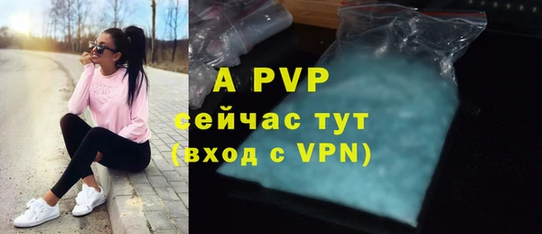 индика Каменногорск