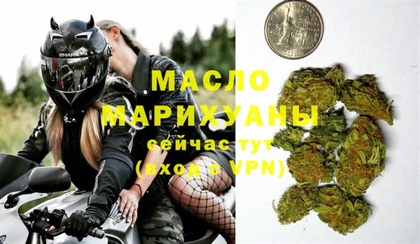 индика Каменногорск