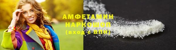 индика Каменногорск