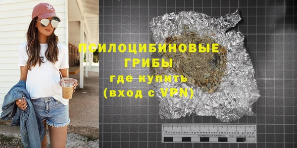 молекула духа Каменск-Шахтинский