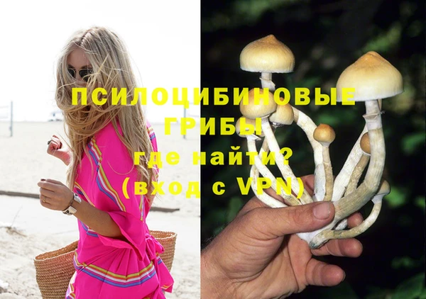 кокс Инсар