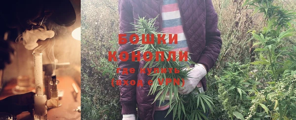 молекула духа Каменск-Шахтинский