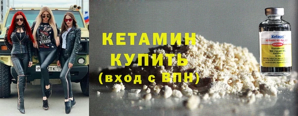 индика Каменногорск