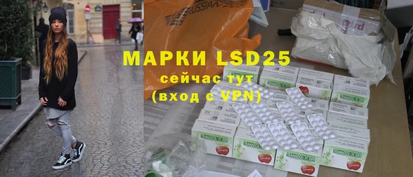 индика Каменногорск
