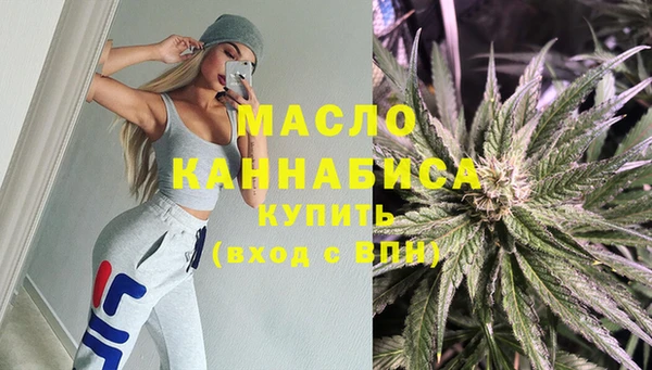 индика Каменногорск