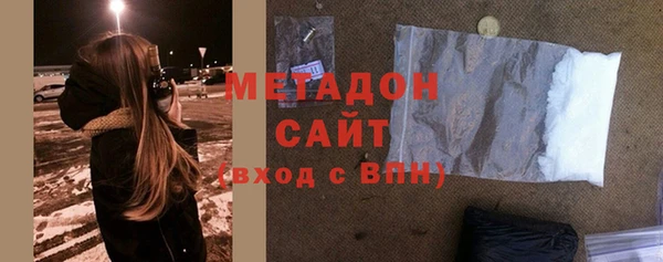 индика Каменногорск