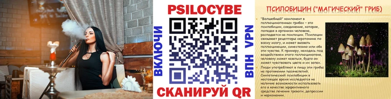 Купить где  Кропоткин  Псилоцибиновые грибы Psilocybe 